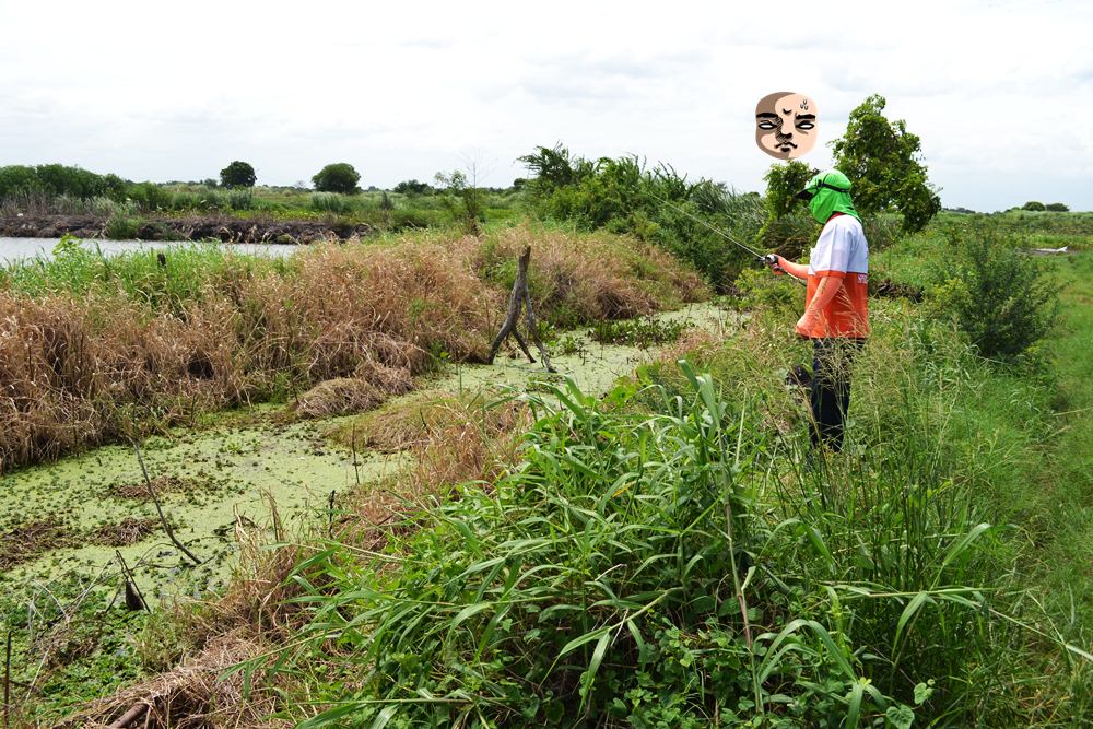 พี่ดิ้งก็ เห็น แหน เป็นไม่ได้  เล่นตลอด  :grin: :grin: :grin: