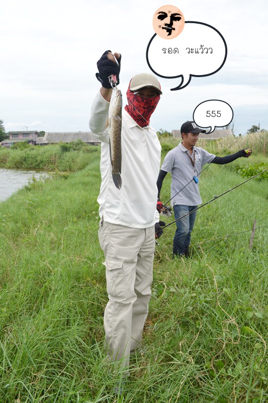 บ่อนี้หุ้นขึ้น น้าตุ๊กตามมารอด ติดๆ  :laughing:
