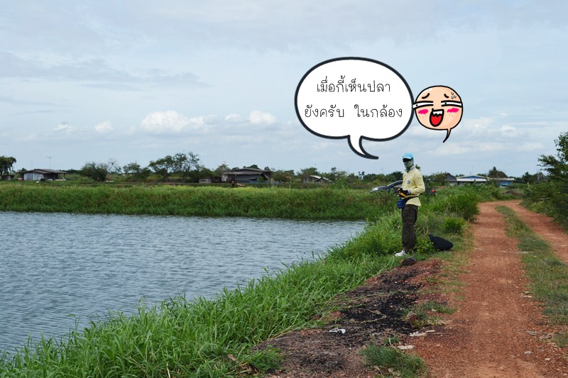 รูปนี้ เหมือนเคยเห็นแล้ว นะพี่ ตุ้ยย  :laughing: :laughing: :laughing: