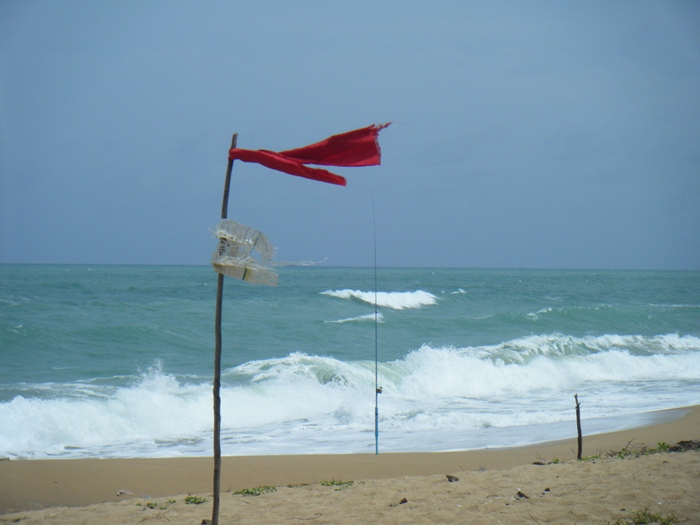 ไปดูเขา Surf ตกปลาชายหาด