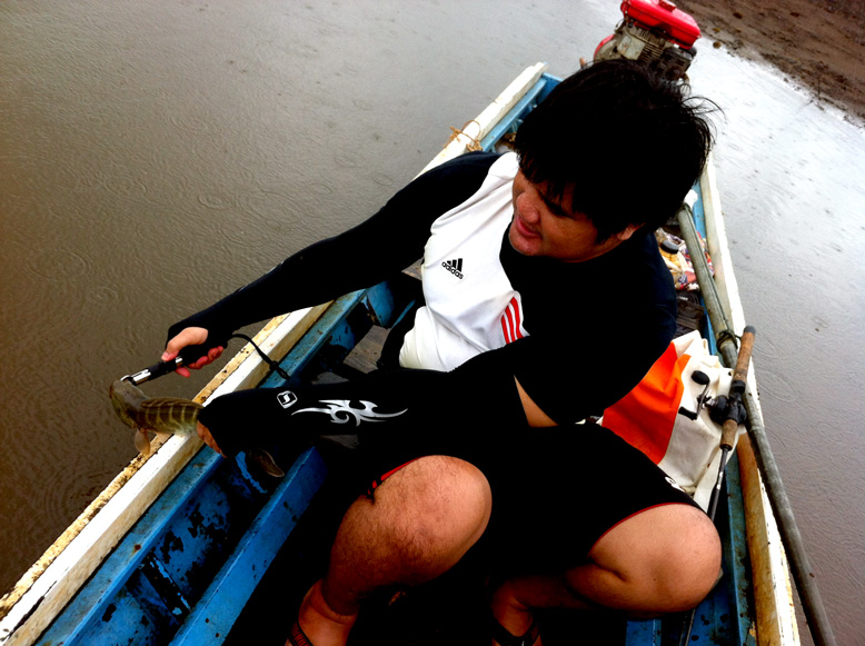 ปล่อยกลับบ้าน ตามระเบียบครับ :cheer: :cheer: