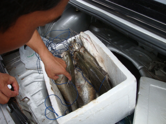  :laughing: :laughing: :laughing: :laughing: