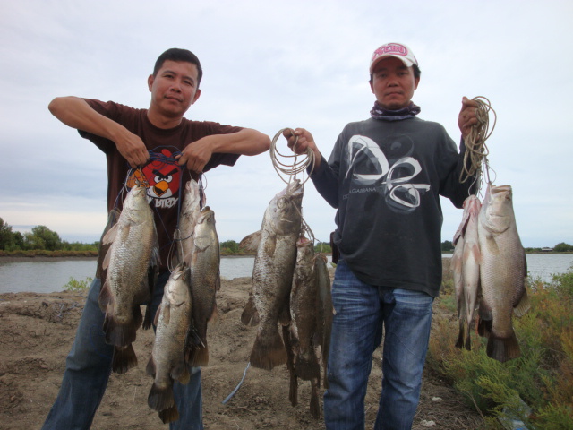  :laughing: :laughing: :laughing: :laughing: