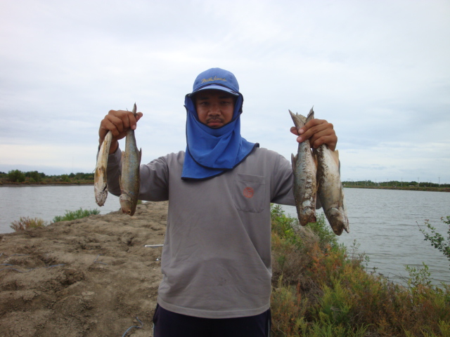  :love: :love: :love: :love: