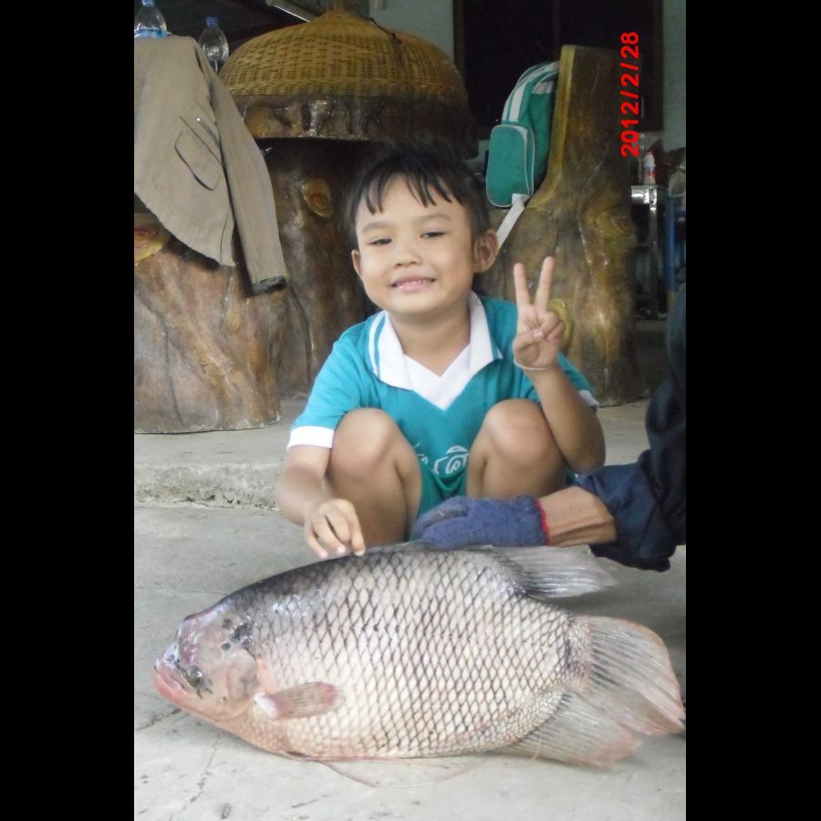 ลากันด้วยภาพลูกสาวกับปลาแรดที่บ่อนะครับ
ขอให้เพื่อนๆมีความสุข โชคดีมีเงินใช้นะครับ :blush: :blush: 
