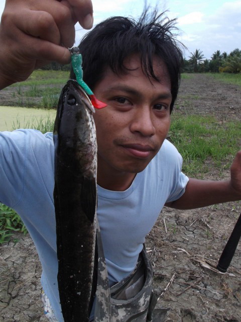                          อ้าวเฮ้ยยย อีตาดุ่ยได้อีกแร๊ะ....บ๊ะๆๆ หมานวุ้ย... :ohno: :ohno: