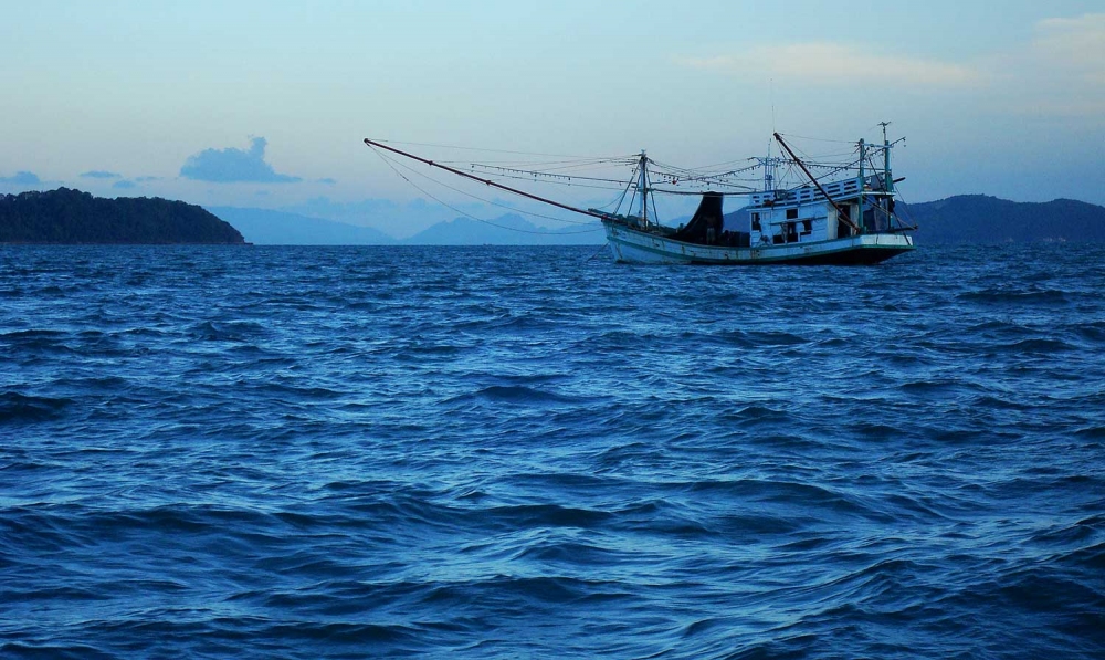 ถึงหมาย เรือไดหมึกมารออยู่ก่อนแล้ว เรือไดหมึกค่อนข้างเยอะพอสมควร    พ่อเทพบอกว่าเราจะตกหมึกกันก่อน  