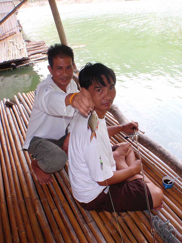  :ohh: :ohh: :ohh: :ohh: :ohh:

มาแล้วปลาพี่เป็ด ได้กระแหแดงซะงั้น ปกติตกยังไงมันก็ไม่เอา หล่อเลยง
