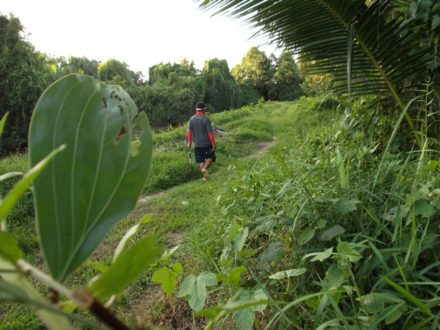 [q][i]อ้างถึง: kongfishing posted: 20-06-2555, 22:26:14[/i]

++หมายตามล่องมะพร้าว แถวบ้านผมลองเข้า