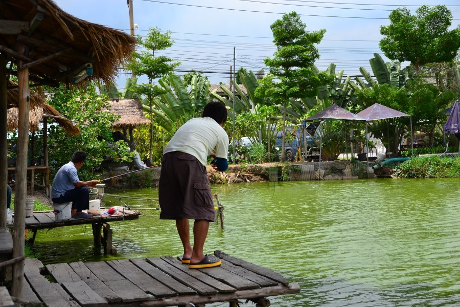 อ้าววว!!! ไอ้เขียวโดนก่อนว่ะ โดนก่อนหมานก่อน :grin: