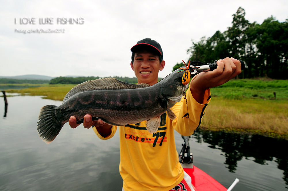 ตัวนี้ดีใจมากครับ  กัด เคร้ากระโดด  เหลาเองกับมือ   :grin: