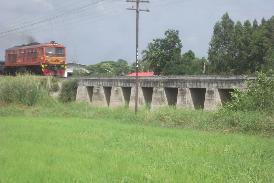  [b]รถไฟกำลังมาพอดี[/b] [b]สงสัยปลานั่งรถไฟไปเที่ยวในเมือง [/b] :laughing: :laughing: :laughing: