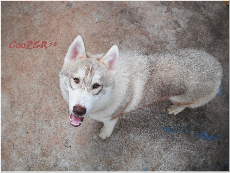 ตัวนี้ ตัวโปรดผมเลย  :tongue: