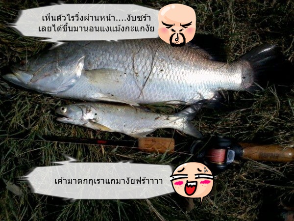 ไปหากุเรา....แต่ได้ดับเบี้ลกะพง