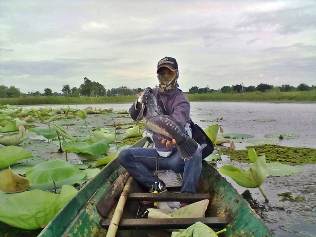 อีกมุม :cool: