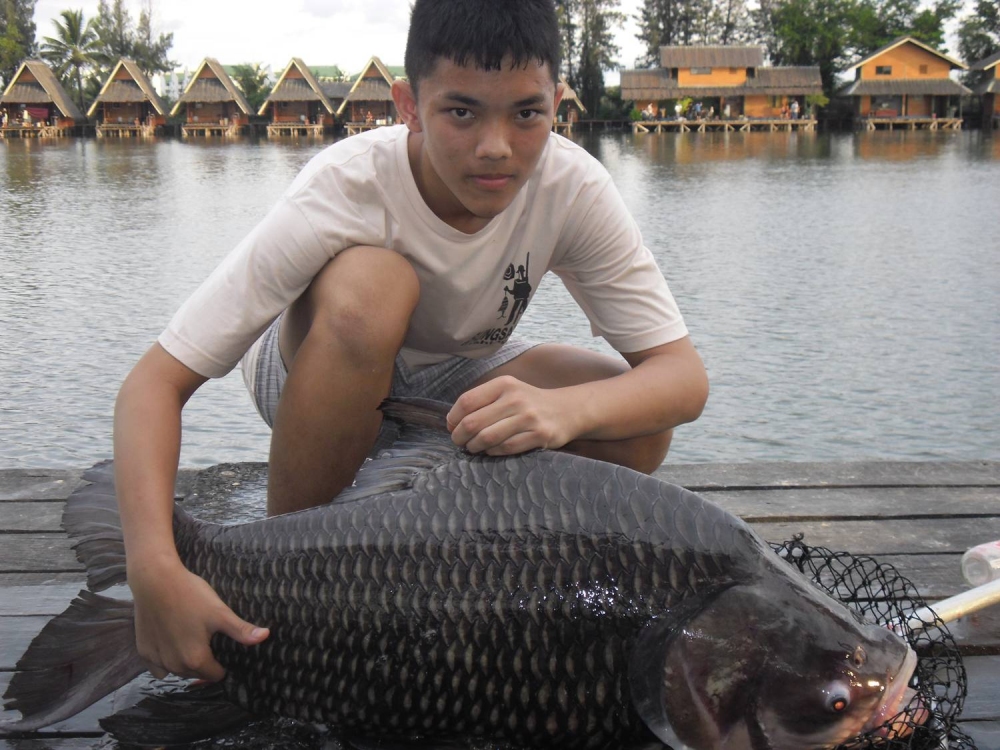 เพื่อนผม