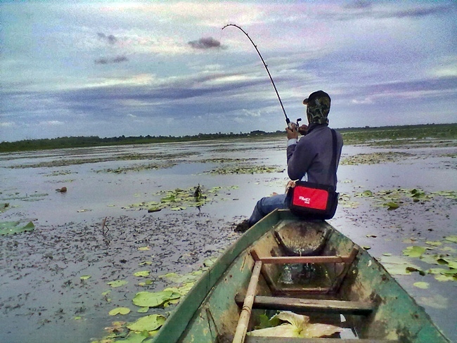 ตีได้สักพักนึงแหม๋ตัวนี้เอาซะเกือบตกเรือกันไปเลยครับ :laughing: :laughing:
แต่หน้าเสียดายครับอัดได้