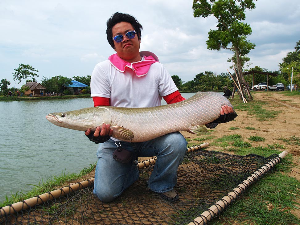 ภาพนี้ น้าเอ็กซ์ บอกอะราไพม่า ตกเมื่อไหร่ก็ได้ตัว  :grin: :grin: :grin: