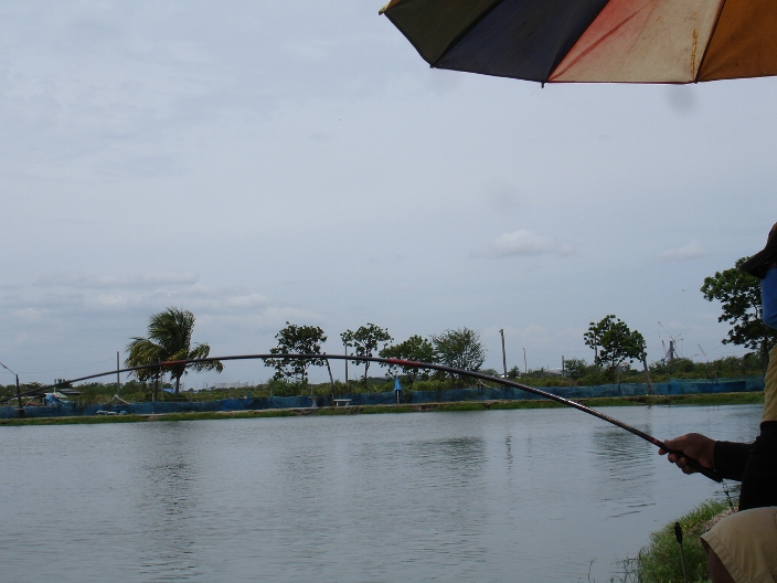 อีกแล้วครับ วันนี้ น้าต้นเป็นพระเอก ครับ :laughing: