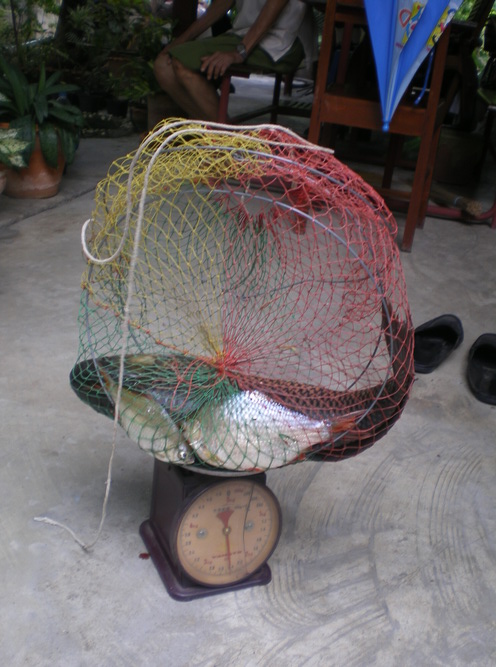 ถึงบ้านแล้วๆ  :laughing: :laughing:

ลองเอาปลารวมมาชังๆ  :cheer: :cheer: