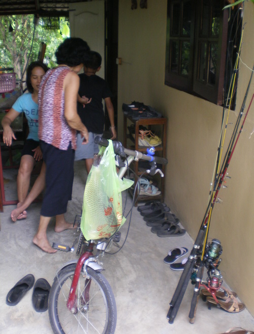 ผลสุดท้าย ปลาทั้งหมดในเบียร์นำกลับไป (อีกแล้ว - -) 
