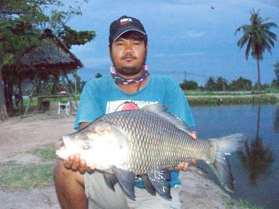 ตัวนี้ย่อมกว่าตัวแรกครับ... :laughing: :laughing: :laughing: