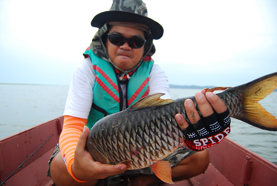 พิกัดตอนชั่ง  2.52    Cardiff 201เบรคไหลเป็นน้ำรั่ว ผมวิ่งขึ้นหัวเรือสาวสายด้วยมือเปล่า จำเขามาจาก R