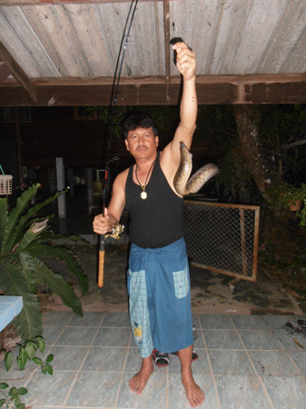  :cheer:ปลาที่รอคอยครับ.กระทิง. :cheer: