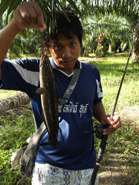                        แบบนี้ก้อต้อง จัดให้ หนึ่งหล่อสิเพื่อนเอ๋ย.... :cool: :cool: :cool: :love: :l