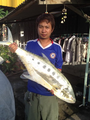 ตัวนี้ราดพริกแซบอย่าบอกใคร