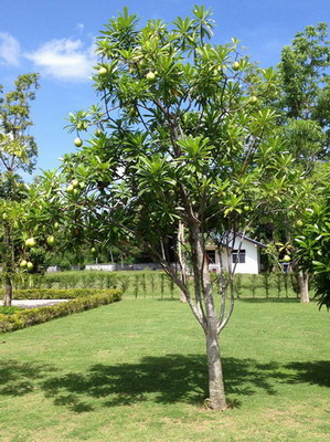 ทริปที่2สำหรับเดือนนี้