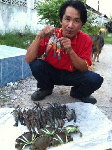 กุ้งมาแล้ว