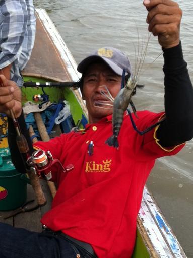 กุ้งใหญ่ๆ