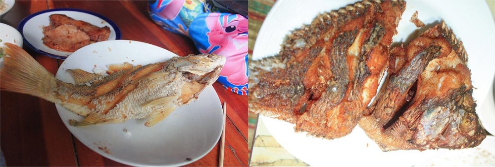 ลากันไปด้วยภาพนี้แล้วกันนะครับ เปิดหัว ปิดท้าย ยั่วน้ำลาย น้า ๆ แล้วกัน สำหรับทริปตกปลา มั่ว ๆ ซั่ว 