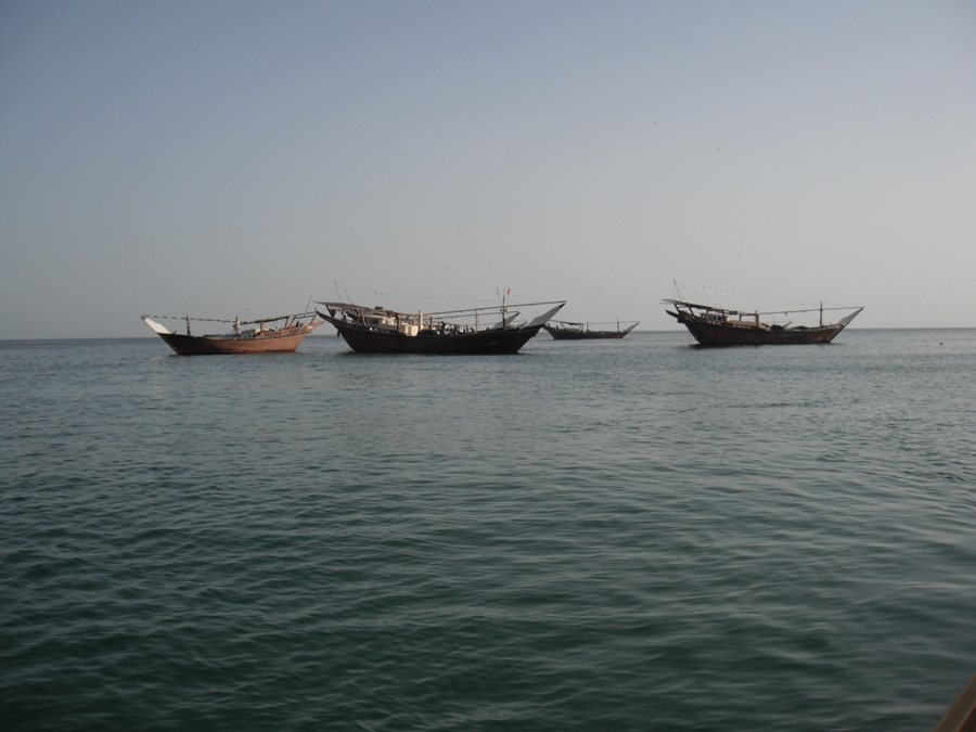 [b]เรือประมงท้องถิ่น รูปทรงแปลก จอดอยู่ใกล้ Ramp ที่เอาเรือลงครับ[/b]