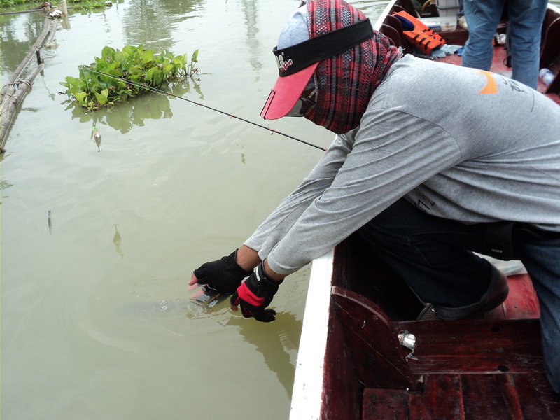 ไปโตก่อนแล้วพาพวกมารุมใหม่นะ

 :laughing: :laughing: :laughing: :laughing: :laughing: :laughing: