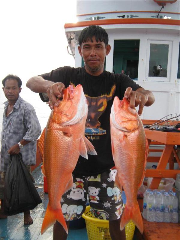 เผลอหลับยาวไปเลยผมไม่ได้เก็บรูปเลยเช้ามามีสีทองเข้ามาหลายตัวอยู่