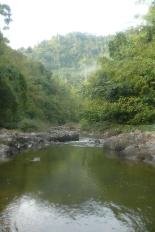 ในป่านี่บรรยากาศดีมากครับ :grin: :grin: :grin: