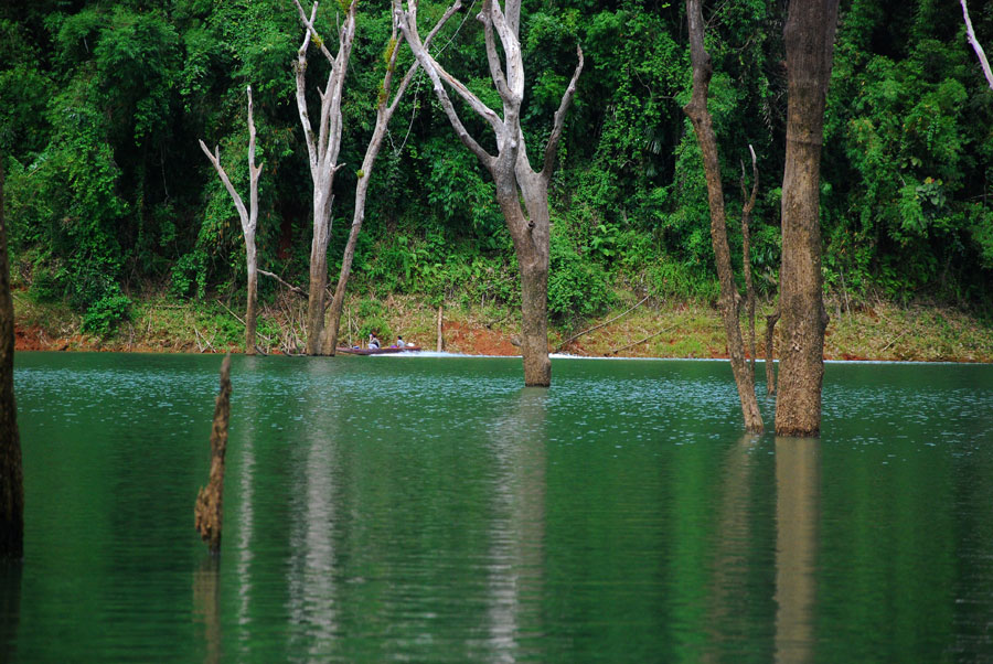 เรือพี่โตมร   

ผ่านมาพอดี   