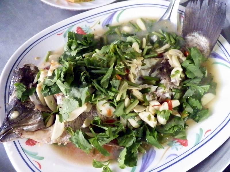 กินข้าวมาครับ ปลาวันนี้ถูกแปลรูป