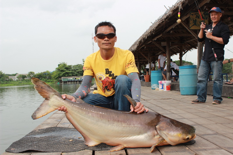 สุดยอดเลย   :cool: :cool: :cool: