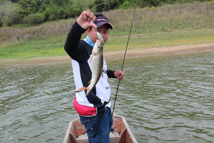  [b]ตัวนี้กัดเหยื่อ SSR07  Rapala[/b]  :cheer: