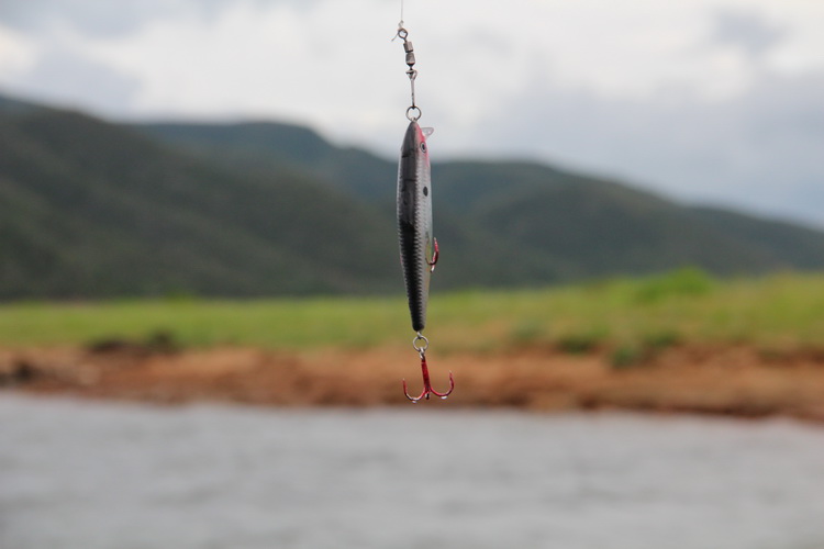                          [url='http://siamfishing.com/board/view.php?tid=648323']ตามชมภาพทริปตกปลา