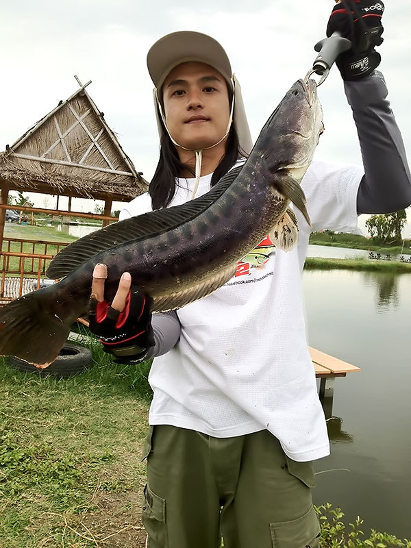 มาเรื่อยๆ ริวบอกว่า ยกฝูงแน่นอน