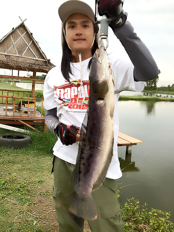อีกตัวครับ