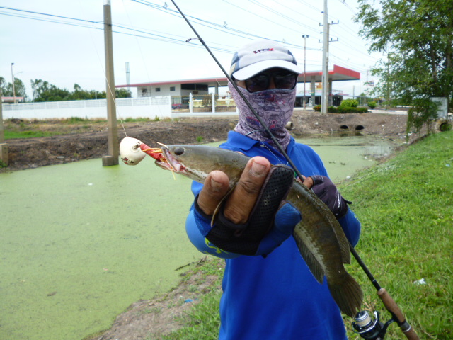 เต็ม ๆ 
 :cool: :cool: :cool: