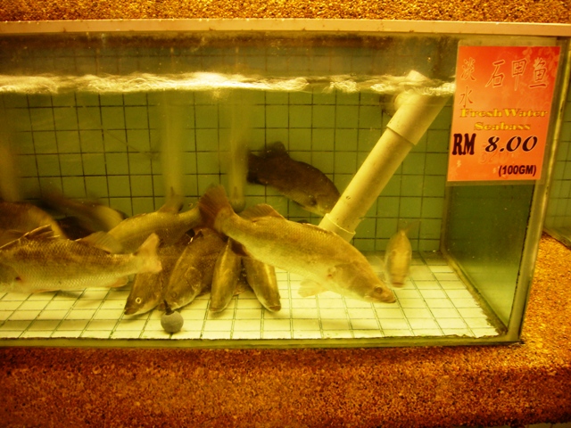 กระพงโลละ 800 แม่จ้าว :ohh: