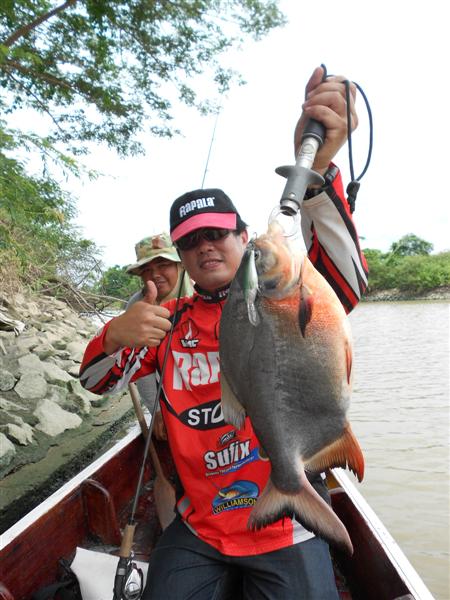 หลบหน่อยพระเอกมา เจ้าพระยานาทีนี้ต้อง Rapala Shad Rap