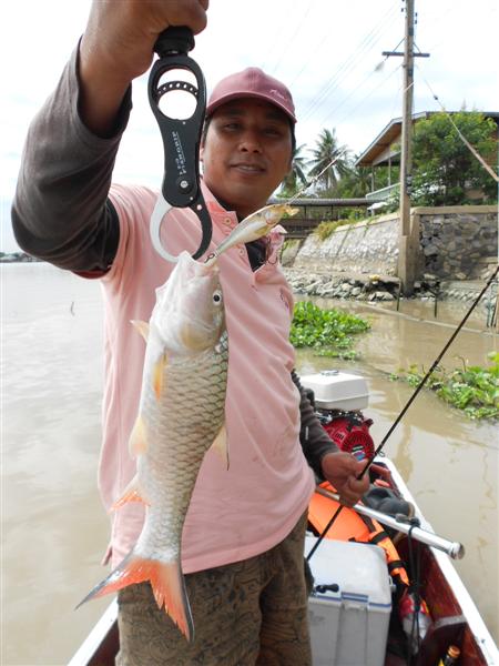 เฮ้อ! Rapala Shad Rap  :smile: