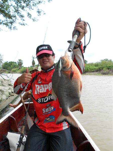 น้าบีได้เปคูมา ด้วยเหยื่อRapala Shad Rap  :grin: